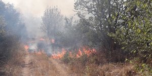 Φωτιά στην Κρηνίδα Σερρών