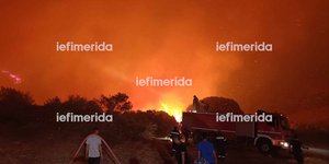 Ολονύχτια μάχη με τις φλόγες στην Εύβοια