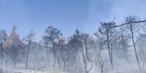 Φωτογραφία από το σημείο της φωτιάς