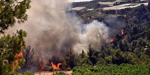 H μεγάλη φωτιά στη Στιμάγκα Κορινθίας στις 11 Ιουλίου