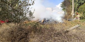 Φωτιά σε καλαμιές στα Χανιά