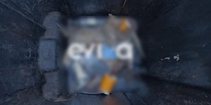 Νεκρά γατάκια σε κάδο στην Ερέτρια
