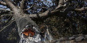 Από την φωτιά στην Κερατέα