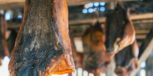 Hákarl, κρέας καρχαρία που αποξηραίνεται