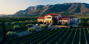 Κτήμα Σκούρα