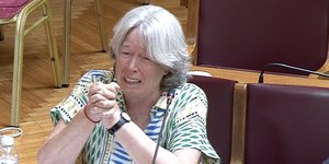 Η Αθηνά Λινού ξεσπά σε κλάματα στην Επιτροπή Κοινωνικών Υποθέσεων μετά τις απρέπειες Πολάκη