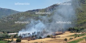 Τέθηκε υπό έλεγχο η φωτιά στον Μαραθώνα
