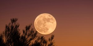 Φωτογραφία: unsplash/@gkumar2175