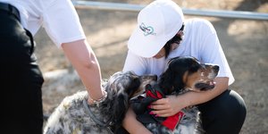 Novibet Athens Happy House