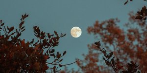 Φωτογραφία: unsplash/@dzngriffin