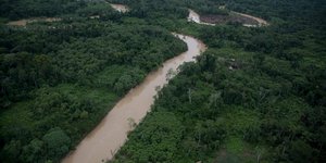 Δάσος και ποταμός στο Περού