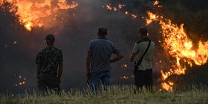 τρεις πλατη κοιτουν φωτια