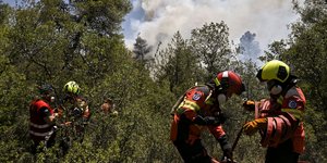 Πυροσβέστες επιχειρούν σε πυρκαγιά σε δασική έκταση