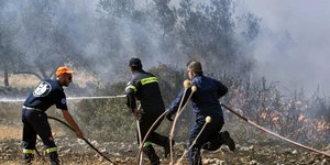 Πυροσβέστες επιχειρούν σε πυρκαγιά σε δασική έκταση 