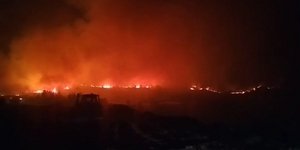 Φωτιά στο Αχλαδοχώρι Σερρών