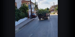 Εδεσε τον σκύλο του σε αγροτικό και τον έσερνε στην Κοζάνη