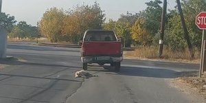 Βίντεο σοκ από την Ημαθία