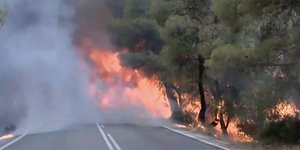 Φωτιά στο Σοφικό 