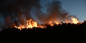 Φωτιά στη Σταμάτα Αττικής