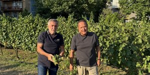 Ο δήμαρχος Αγγελούδης στον αστικό αμπελώνα 