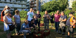 Στον αστικό αμπελώνα του Δήμου ο Στέλιος Αγγελούδης