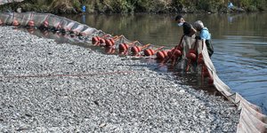 Νέο φράγμα στον χείμαρρο Ξηριά για τα νεκρά ψάρια