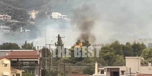 Από την φωτιά που ξέσπασε στο Πλατάνι της Πάτρας