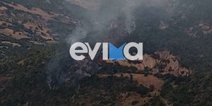 Φωτιά στην Εύβοια