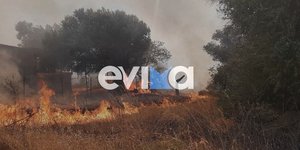 Μεγάλη φωτιά ξέσπασε στην Εύβοια