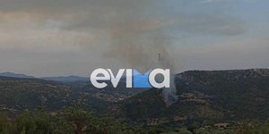 Φωτιά στο Αλιβέρι Ευβοίας