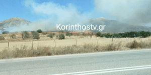 Φωτιά στην Αργολίδα