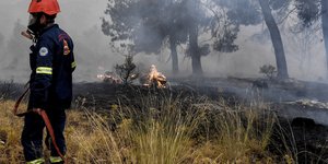 Φωτιά σε δασική έκταση