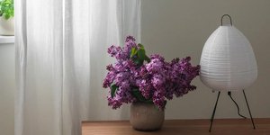 Φωτογραφία Shutterstock 