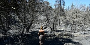 Γυναίκα σε καμένα δάση στον Βαρνάβα