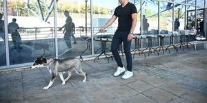 Στη δομή φιλοξενείας πυρόπληκτων ζώων ο Στέφανος Κασσελάκης