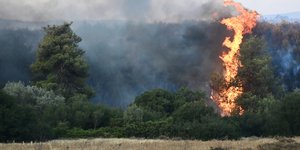 Ακραίος κίνδυνος εκδήλωσης πυρκαγιάς σήμερα Δευτέρα 12/08