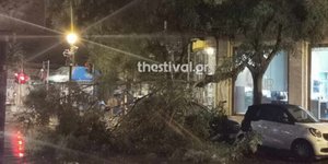 Πτώση δέντρου στη Θεσσαλονίκη λόγω της κακοκαιρίας