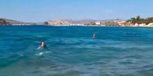 Απόπειρα βιασμού στη Σαλαμίνα