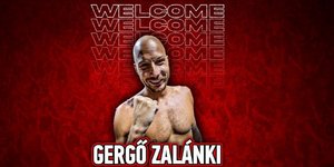 Γκέργκο Ζάλανκι