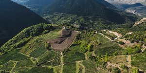 Αμπελώνας Γινιέτς στο Μέτσοβο