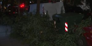 Έπεσαν δεκάδες δένδρα από την κακοκαιρία στη Θεσσαλονίκη