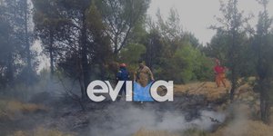 Φωτιά από κεραυνό στην Στενή Ευβοίας