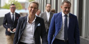 Άλις Βάιντελ - Τίνο Χρούπαλα, το ηγετικό δίδυμο της ακροδεξιάς Εναλλακτικής για τη Γερμανία