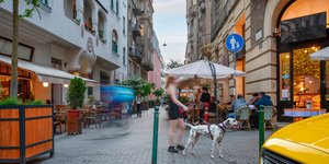 κοπελα με σκυλο  Βουδαπέστη 