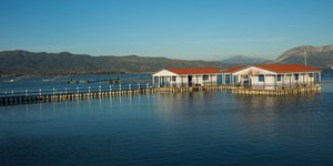 Απόδραση στο Μεσολόγγι