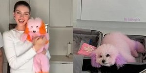 Η Νίκολα Πελτζ έβαψε τα σκυλιά της- Σε σοκ οι θαυμαστές της 