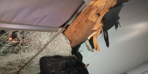 Κορμός δέντρου καρφώθηκε στο τζάμι της καμπίνα του μηχανοδηγού