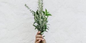 Φωτογραφία: Unsplush