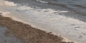 Αφροί και μαύρα νερά σε παραλία του Βόλου λόγω της οικολογικής καταστροφής με τα νεκρά ψάρια