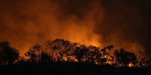 Δεκάδες χιλιάδες εστίες πυρκαγιάς μαίνονται στη Βραζιλία